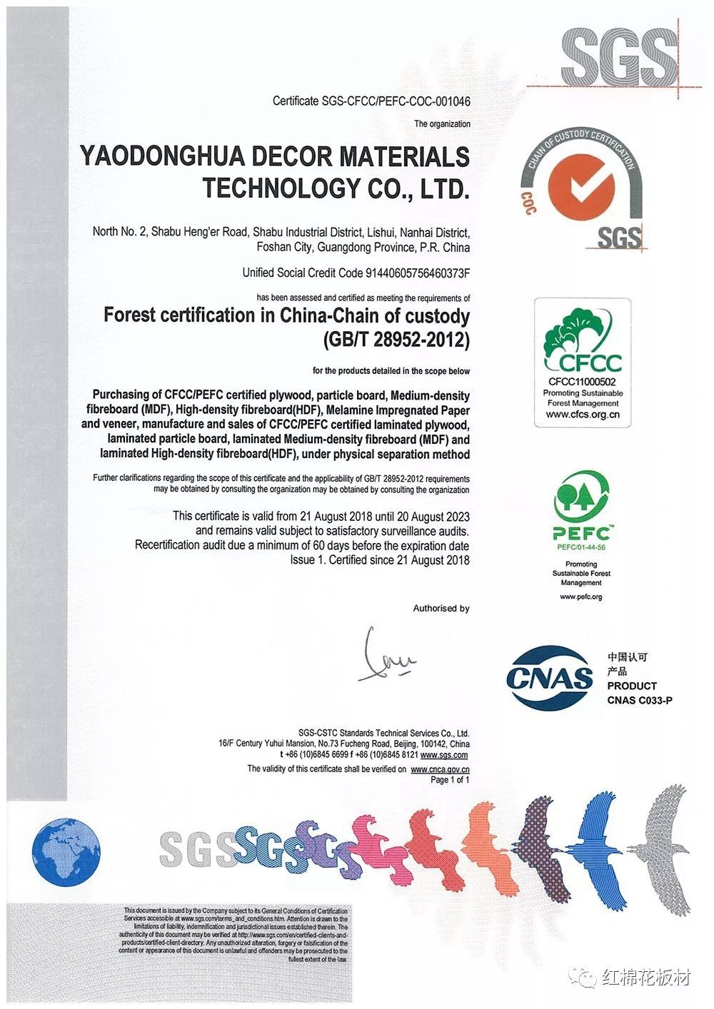 1552615335122550.jpg 2.jpg