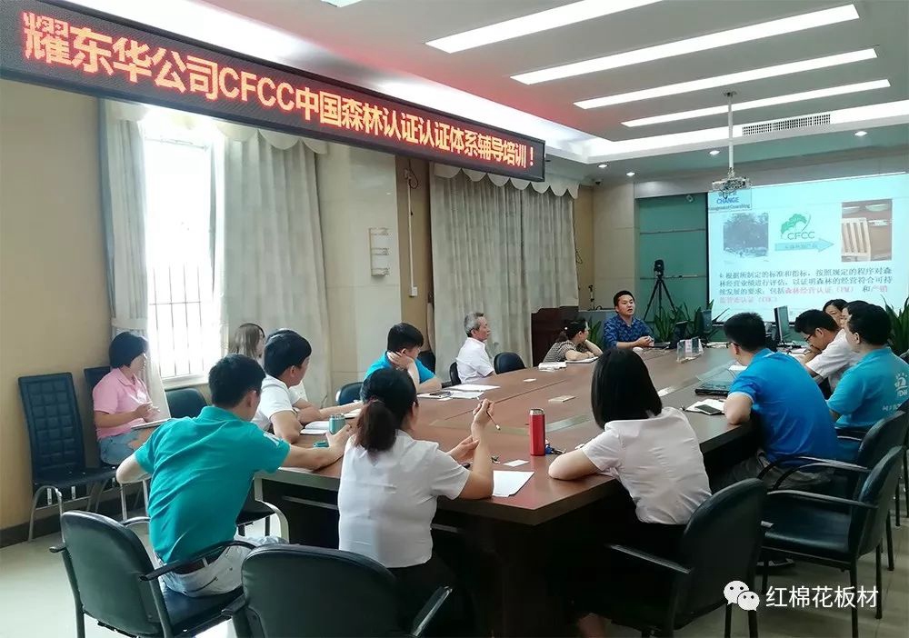 1552615407133880.jpg 9.jpg