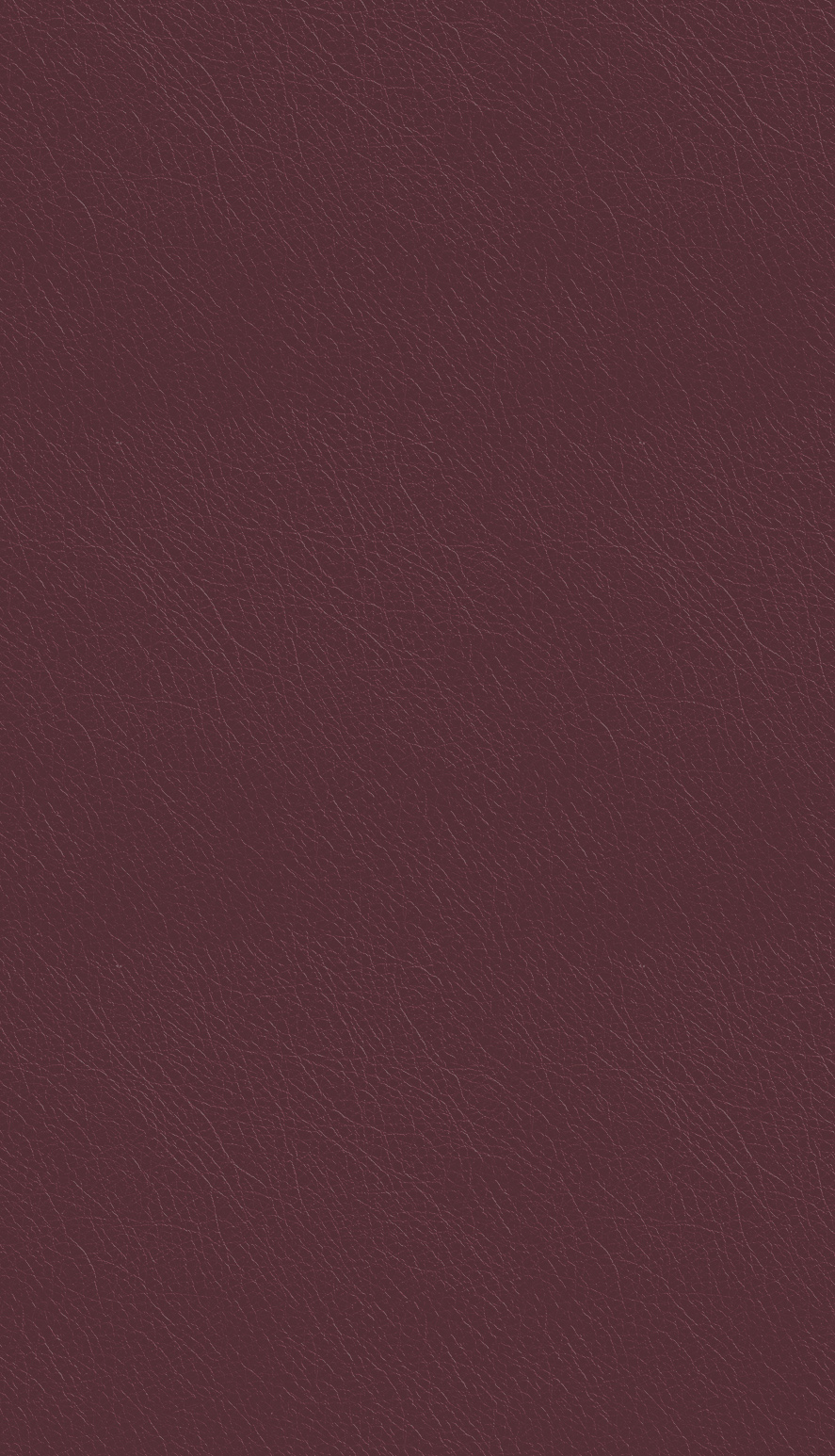 YDH486 荔枝紋 故宮紅